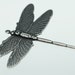 Trinity Brass Antique Silver Large Dragonfly Pendant