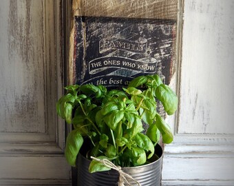 Plant, door-utensils industrial decor