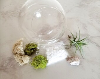 Air plant Gift set, Hanging planter, DIY air plant terrarium, DIY terrarium kit, garden lover gift, plant gift, mother's day gift