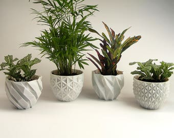 Desk Gift Mini Plant Pot Office Planter Set of 4 Modern Planter Small Planter Gift Desk Planter Mini Planter Succulent Pots Cacti