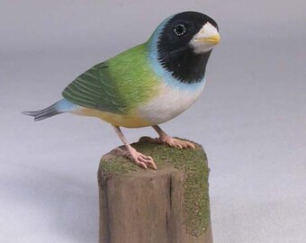 Gouldian Finch (white-breast) Hand Carved Wooden Bird