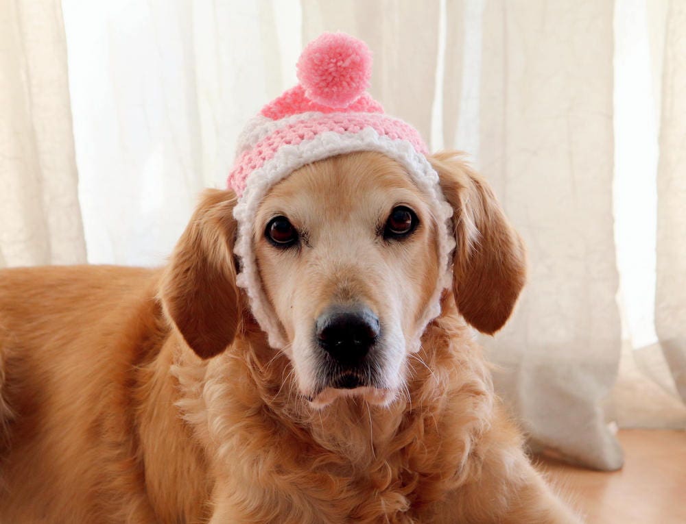 Dog Hat Dog Beanie Winter Hat for Dogs Large Breed Dog Hat