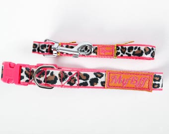 Dog collar and leash set