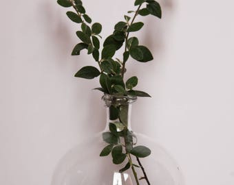 French Antique Hand Blown Glass Fly Trap