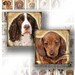 Dogs and puppies digital collage scrabble tile necklace jewelry making paper supplies altered art download image file (068) BUY 3 GET 1 FREE