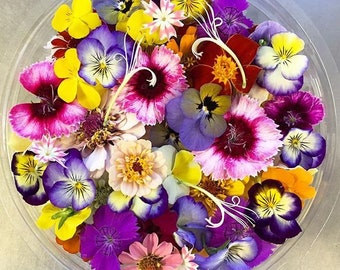 Edible Flower Mix Heirloom Seeds - Non-GMO, Open Pollinated, Untreated