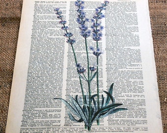 Lavender Flowers Art Print on Vintage Dictionary Book Page