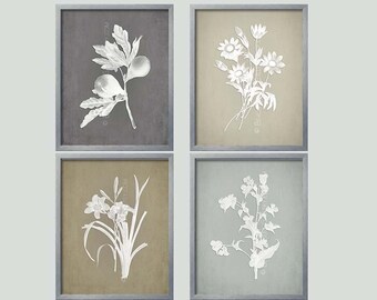 Gray Botanical, French Country Wall Art, Botanical Collection, Gray Prints, Grey Wall Art, Farmhouse Style Decor, Rustic Farmhouse Art