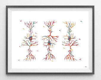 Pyramidal Neurons Watercolor Print Pyramidal cells dendritic structure poster brain cells watercolor print Science Art Neurology poster