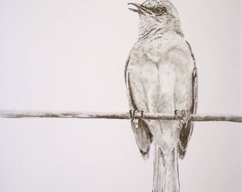 Bird on a Wire
