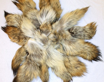 QTY 5 Coyote Tails