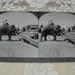 Stereoscope Card: Elephant in Burma