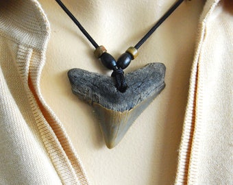 Fossil Carcharodon MEGALODON Shark tooth - PENDANT - WOWWWW !!