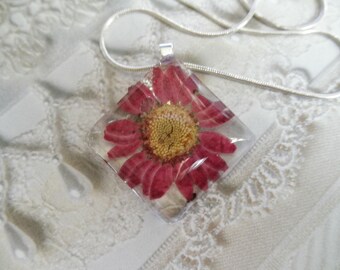 Purple Daisy Glass Diamond Shaped Pressed Flower Pendant-April's Birth Flower-Symbolizes Loyal Love-Nature's Art