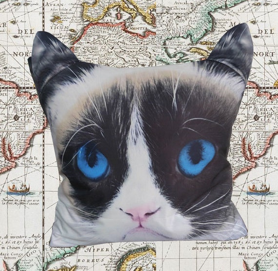 grumpy cat pillow