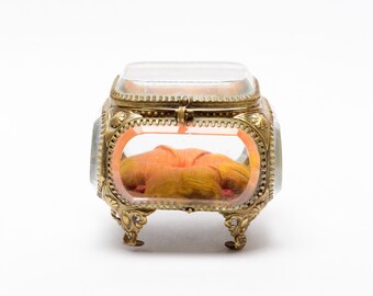 Antique Victorian California State Fair Beveled Glass Jewelry Trinket Box Casket Ormolu