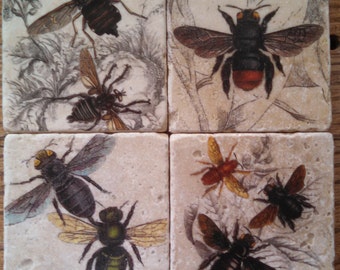 Flying Insects Marble Tile Coasters - Set of 4