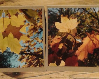 Pack of 2 Greeting Cards
