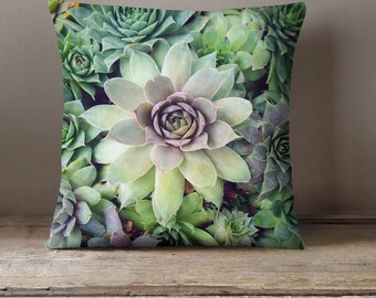 Dorm Decor, Succulent Pillow Cover, Succulent Pillow, Fine Art Photo Pillow Case, Floral Pillow Cover, Throw Pillow, Gift for Her