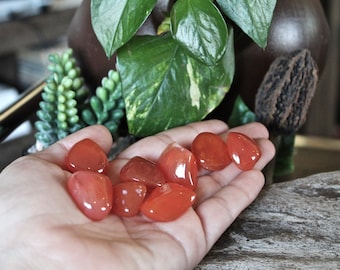 8 pcs. Tumbled Carnelian Stones, Orange Stone, Wiccan Altar Supplies, Natural Carnelian Crystals, Smooth Gemstone, Wicca Supply