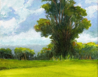 Original Landscape Painting 8x8 on canvas Oak Tree Clouds and Sky Summer Green