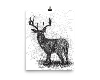 Whitetail Deer Pen & Ink Print Poster