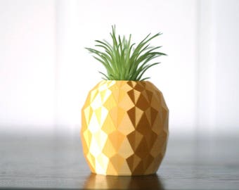 Pineapple planter, Pineapple vase, Pineapple decor, Modern air planter, Mini succulent planter, Cactus planter, Air planter, small planter