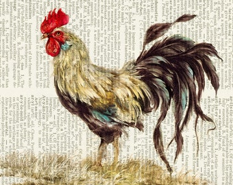 rooster painting print