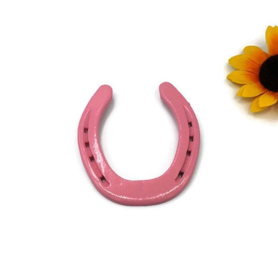 Country Girl Chic Pink Horseshoes Gender Reveal Ideas