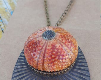 UNIQUE Real Pink / Orange Sea URCHIN necklace , pendant