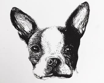 Pet Portrait, Dog Drawing