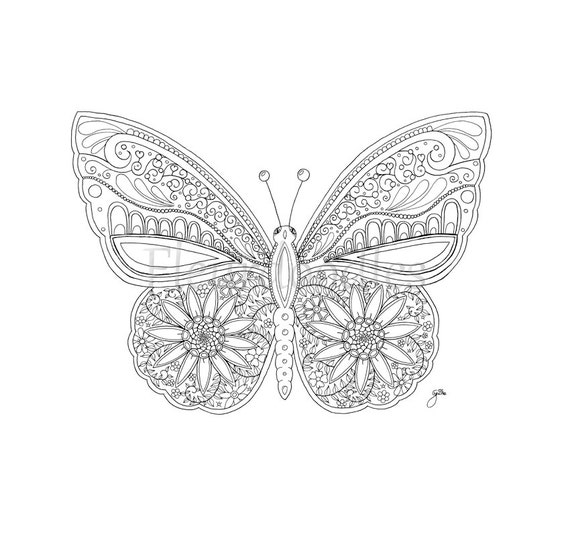 adult coloring page butterfly printable digital download