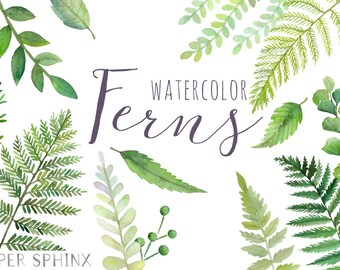 Watercolor Ferns Clipart | Forest Leaves Clipart - Greenery Leaf Branches and Stems - Wedding Invitation Clip Art - Instant Download PNGs