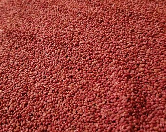 Cranberry Seeds 16 oz.