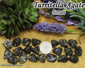 Turritella Agate (small) tumbled stone for crystal healing