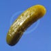 Pickle Clipart, Condiment Photo, Pickle Photo, Food Clip Art, Food Photography, Digital Download, Stock Image, Blue Background, Green