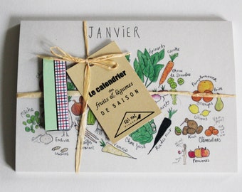 The fruits and vegetables calendar & the 4 magnets - set of 12 comic postcards (ink - watercolor pencil)
