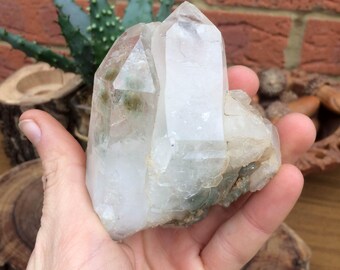Beautiful Natural Clear Quartz Crystal Cluster with Chlorite