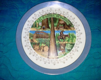 California Redwoods souvenir plate from yesteryear, 8 1/2" round.