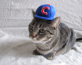 Baseball Cap Hat For Cats