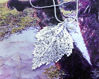 Real Leaf Jewelry, BIRCH leaf, Sterling SILVER dipped leaves, necklace pendant by natures leaves