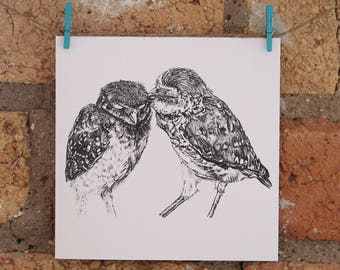 Illustrated Kissing Owls Card