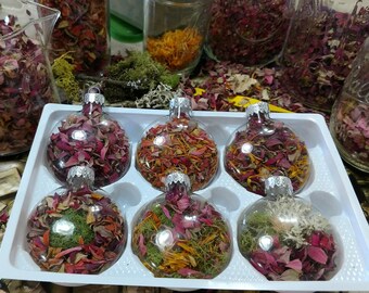 SIX Customized Nature Momento Ornaments