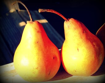 Two Pears still life fine art photo food art digital download