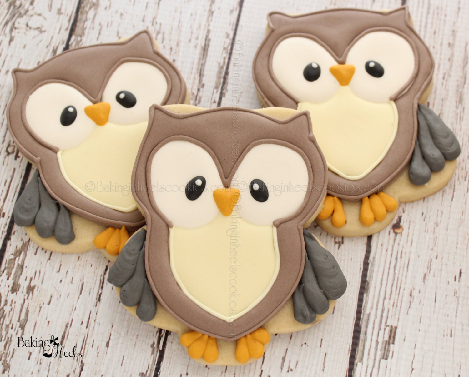 Woodland Owl Decorated Cookies Baby Shower Cookies Baby