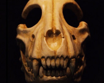 Dog skull with moves the jaw! mask by Maskcraft