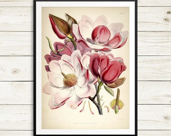 botanical print set, magnolia gifts, magnolia flowers, pink magnolia print, magnolia print set, magnolia wall art, watercolor magnolia print