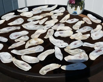 oyster shells flats