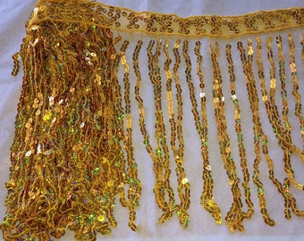 2 yards only 9.99 of Holographic Sequin Fringe