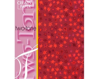 4 sheets A4 2 tone star rouge_JJ86120